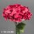 1740-36 Light Red