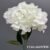 1740-36 Off White