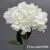 1740-36 Off White