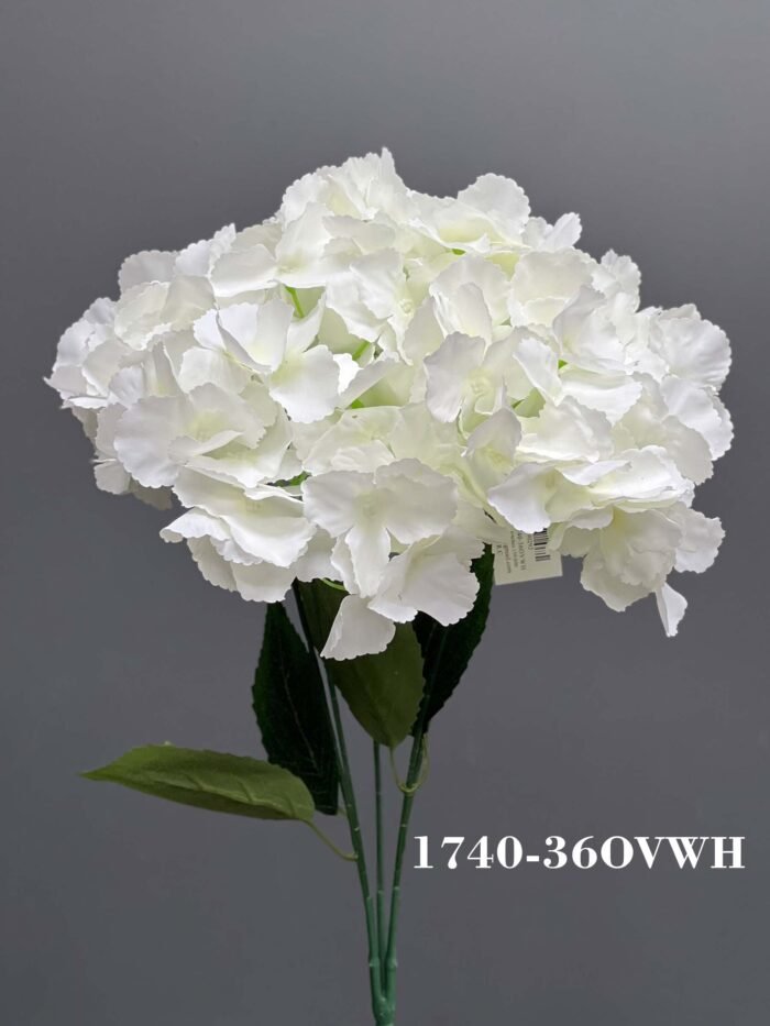 Hydrangeas bunches  – 1740-36