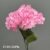 1740-36 Pink