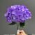 1740-36 Purple