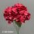 1740-36 Red