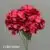 1740-36 Red