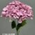 1740-36 S Purple