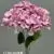 1740-36 S Purple
