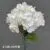 1740-36 White