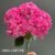 1893-15 Fuchsia Pink