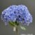 1893-15 Light Blue