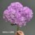 1893-15 Light Purple