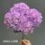 1893-15 Light Purple