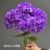 1893-15 Purple