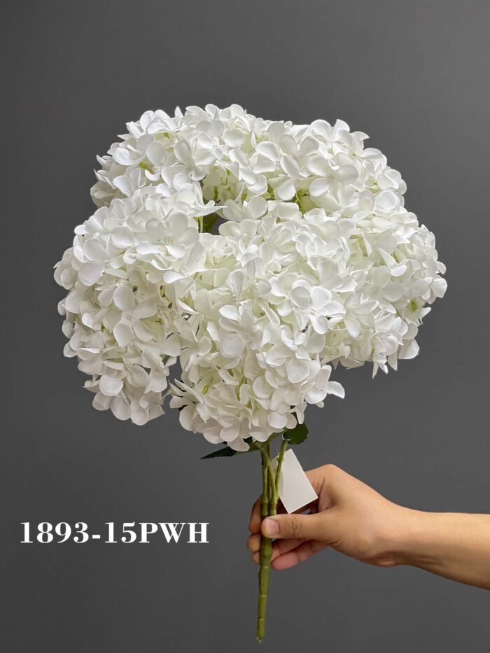 Hydrangeas bunches – 1893-15