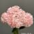 1893-15 pink