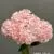 1893-15 pink