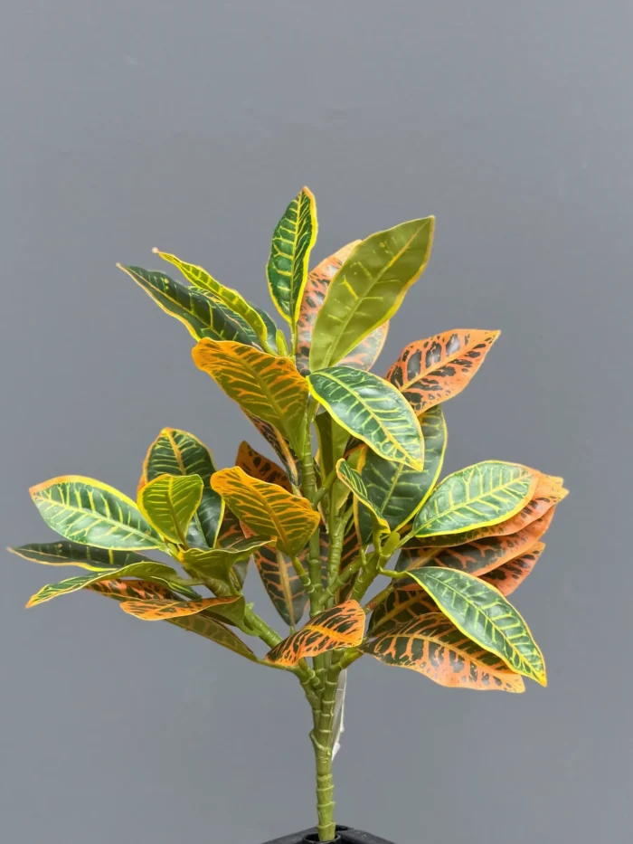 Greenery leaves – 6652-1