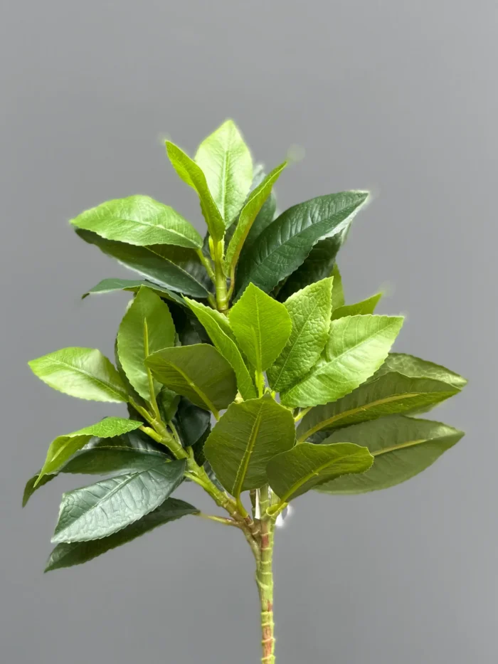 Greenery leaves – 6652-4