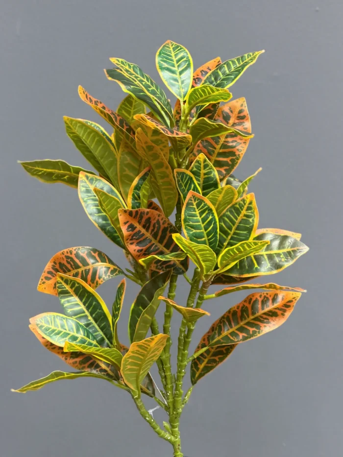 Greenery leaves – 6652-5