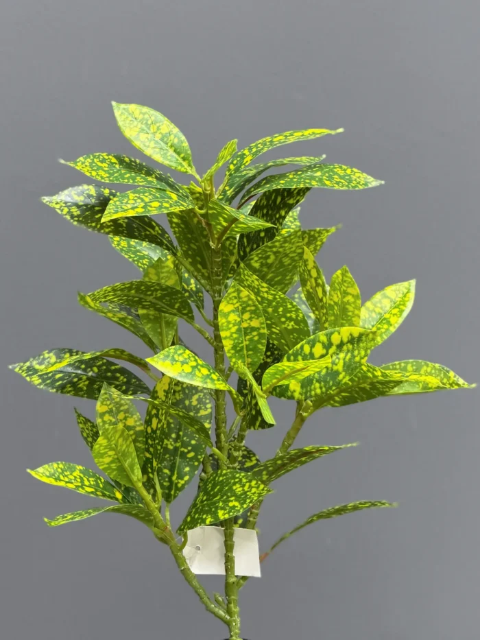 Greenery leaves – 6652-6