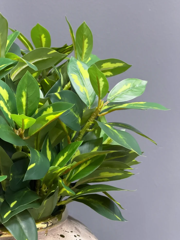Greenery leaves – 6652-7