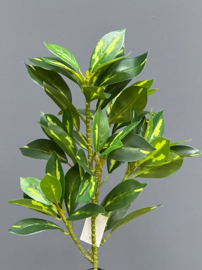 Greenery leaves – 6652-7