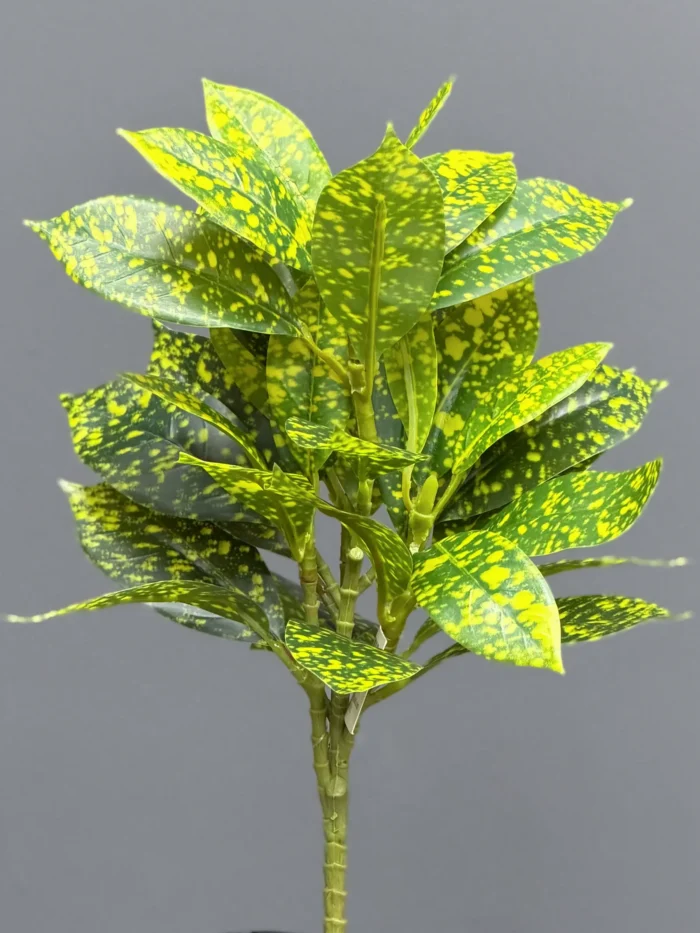 Greenery leaves – 6652
